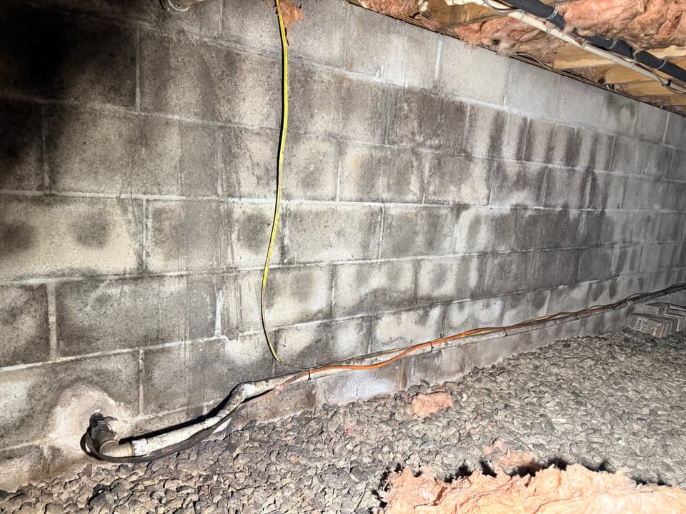 Inspection & Water Source Diagnosis
