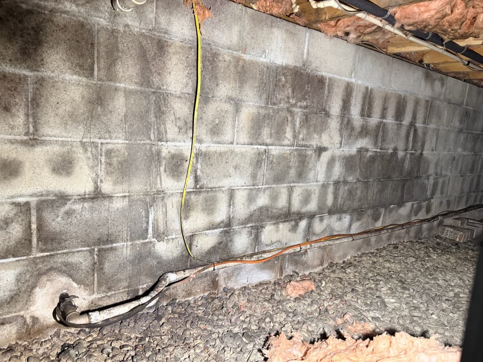 Mold and moisture staining on a Maryland crawl space foundation wall, a visible warning sign of poor ventilation