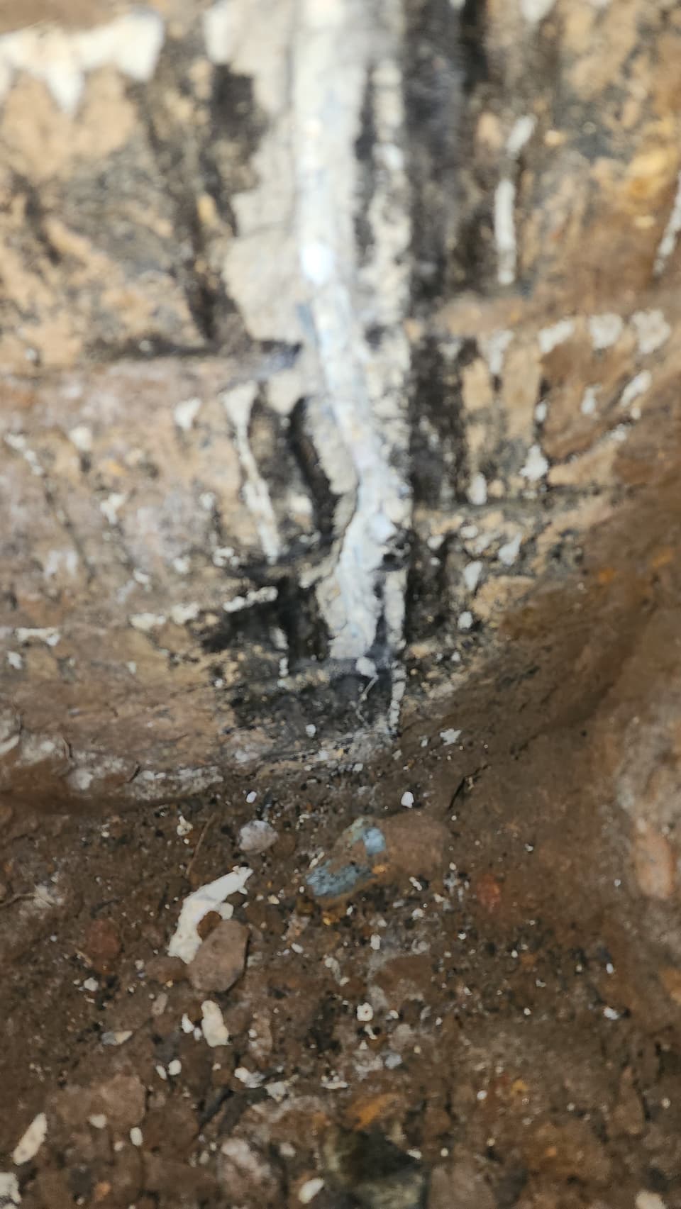 Veneer vs. Structural Check