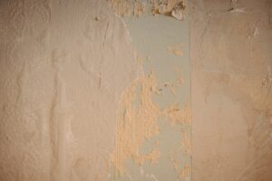 basement wall moisture protection