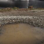 basement drainage system near me